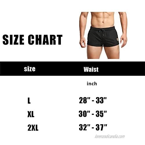 Men's Running Shorts Workout Athletic Shorts for Men with Mesh Liner Also A Nice Lounge Shorts