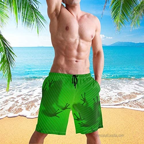 Men's Swim Trunks Quick Dry 3D Printed Casual Hawaiian Mesh Lining Beach Board Shorts with Pockets