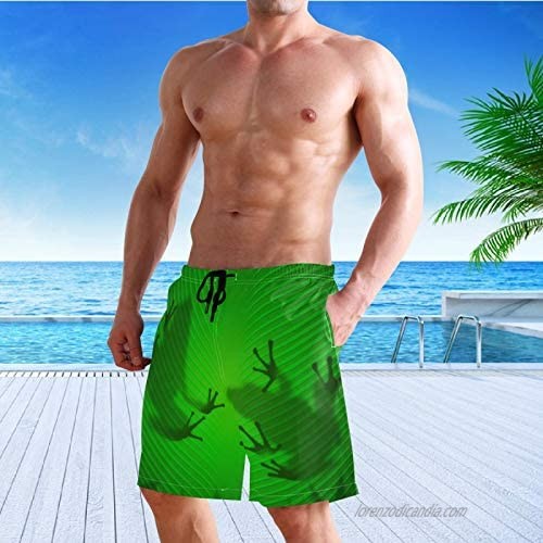 Men's Swim Trunks Quick Dry 3D Printed Casual Hawaiian Mesh Lining Beach Board Shorts with Pockets